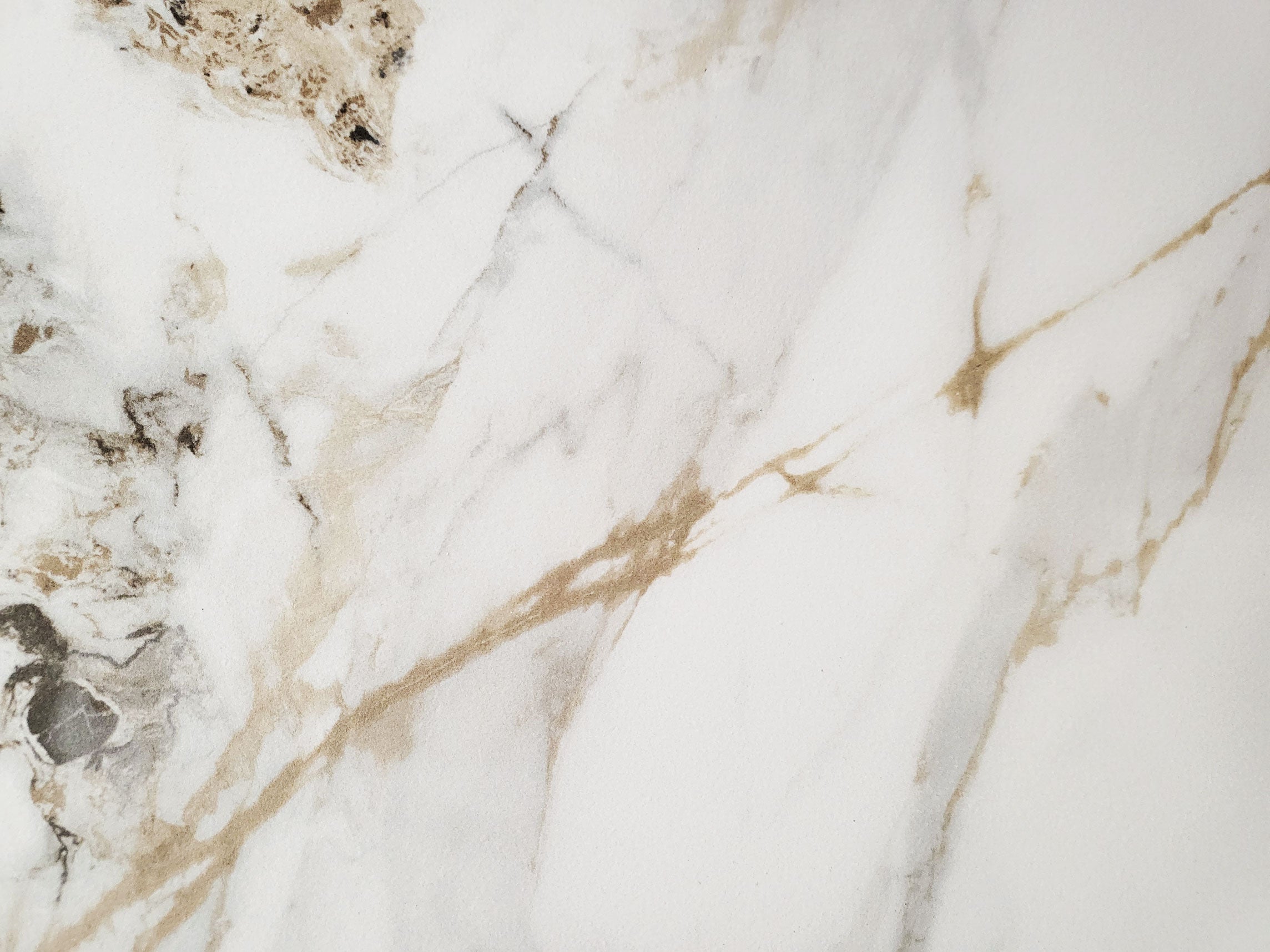 CALACUTTA GOLD 600x600 Polished