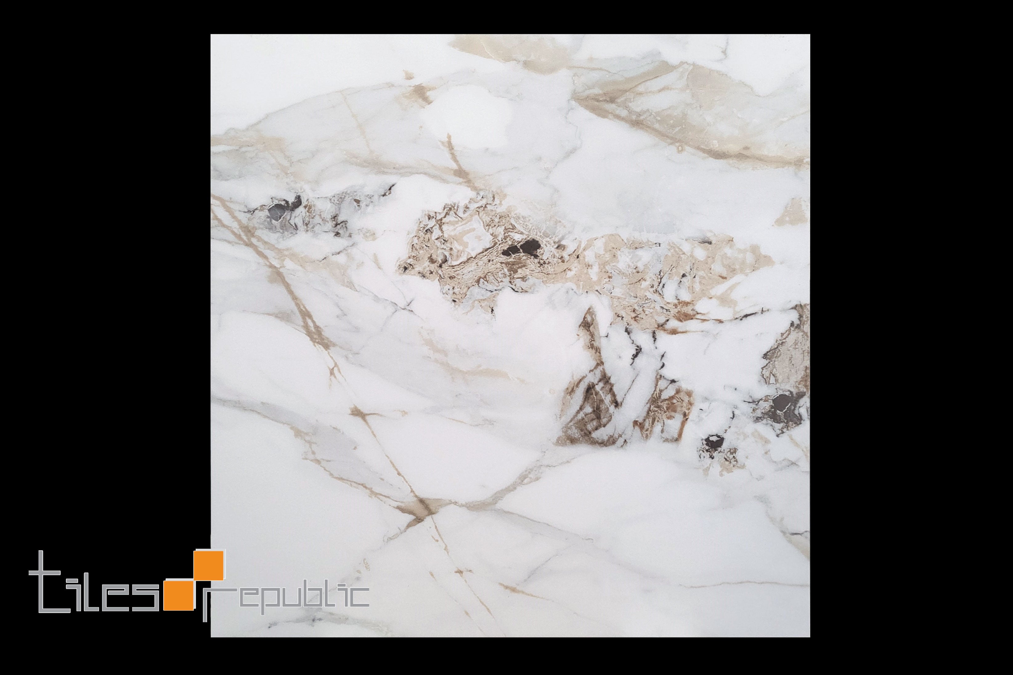 CALACUTTA GOLD 600x600 Polished