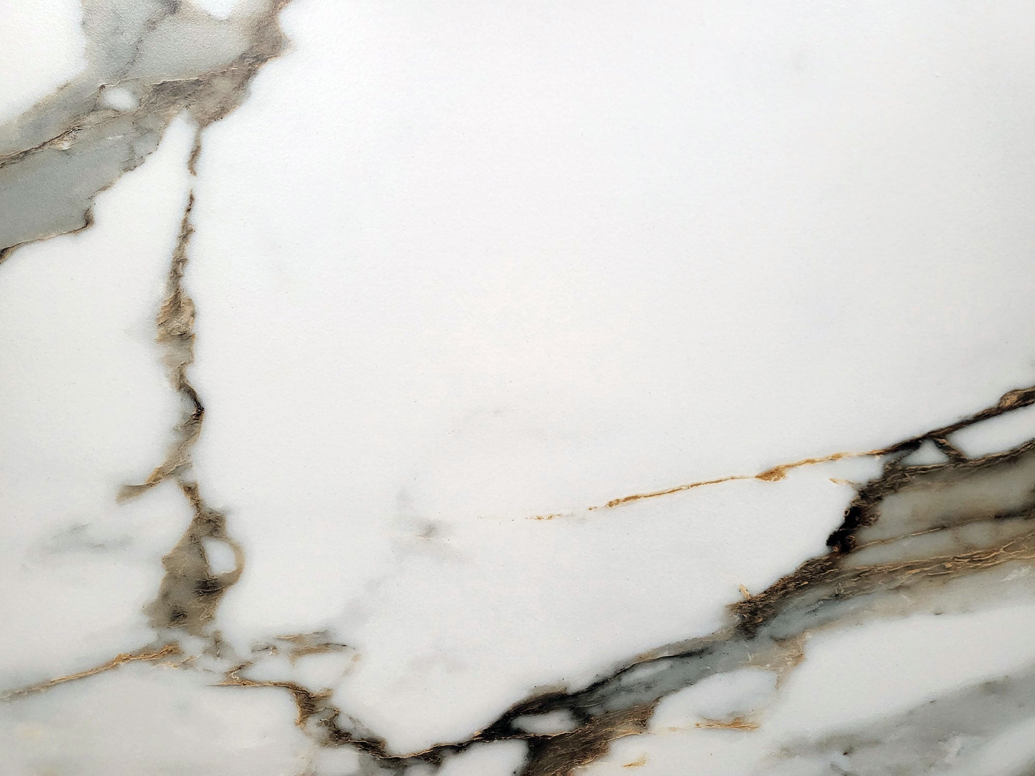 CARRARA GOLD 600x600 Polished