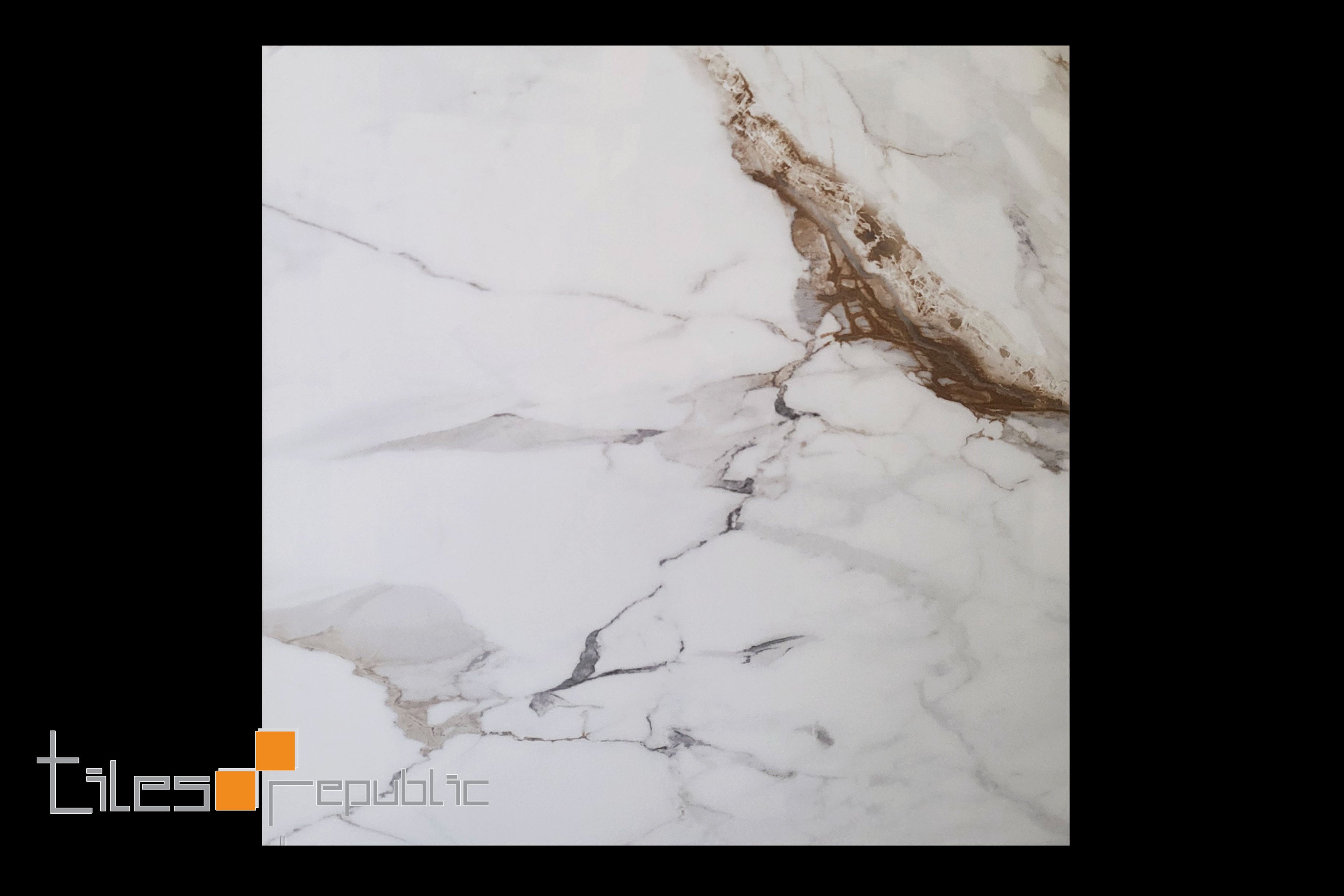 CALACUTTA GOLD 600x600 Polished