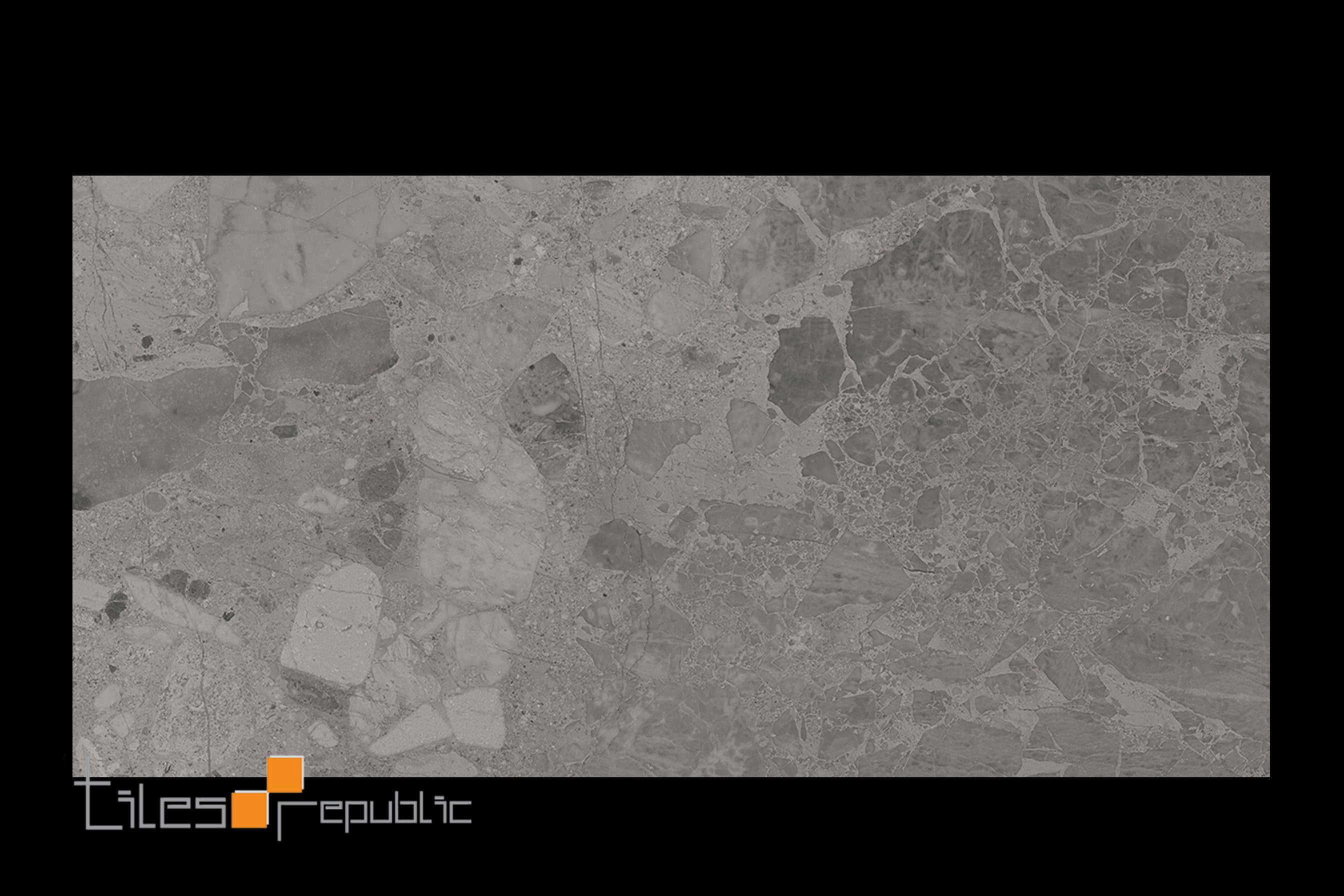 Venice Silver Polished 300x600