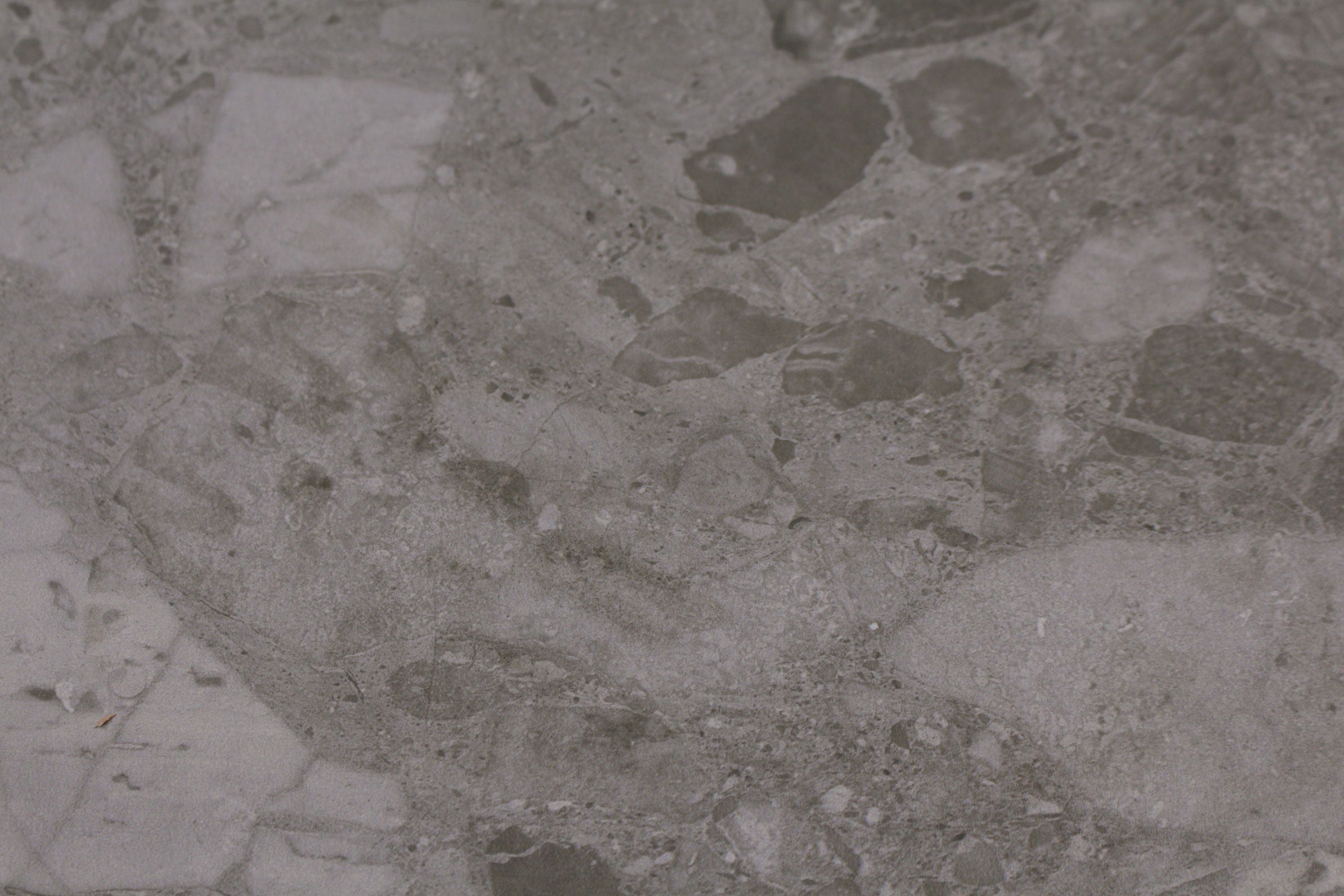 Venice Silver Polished 300x600