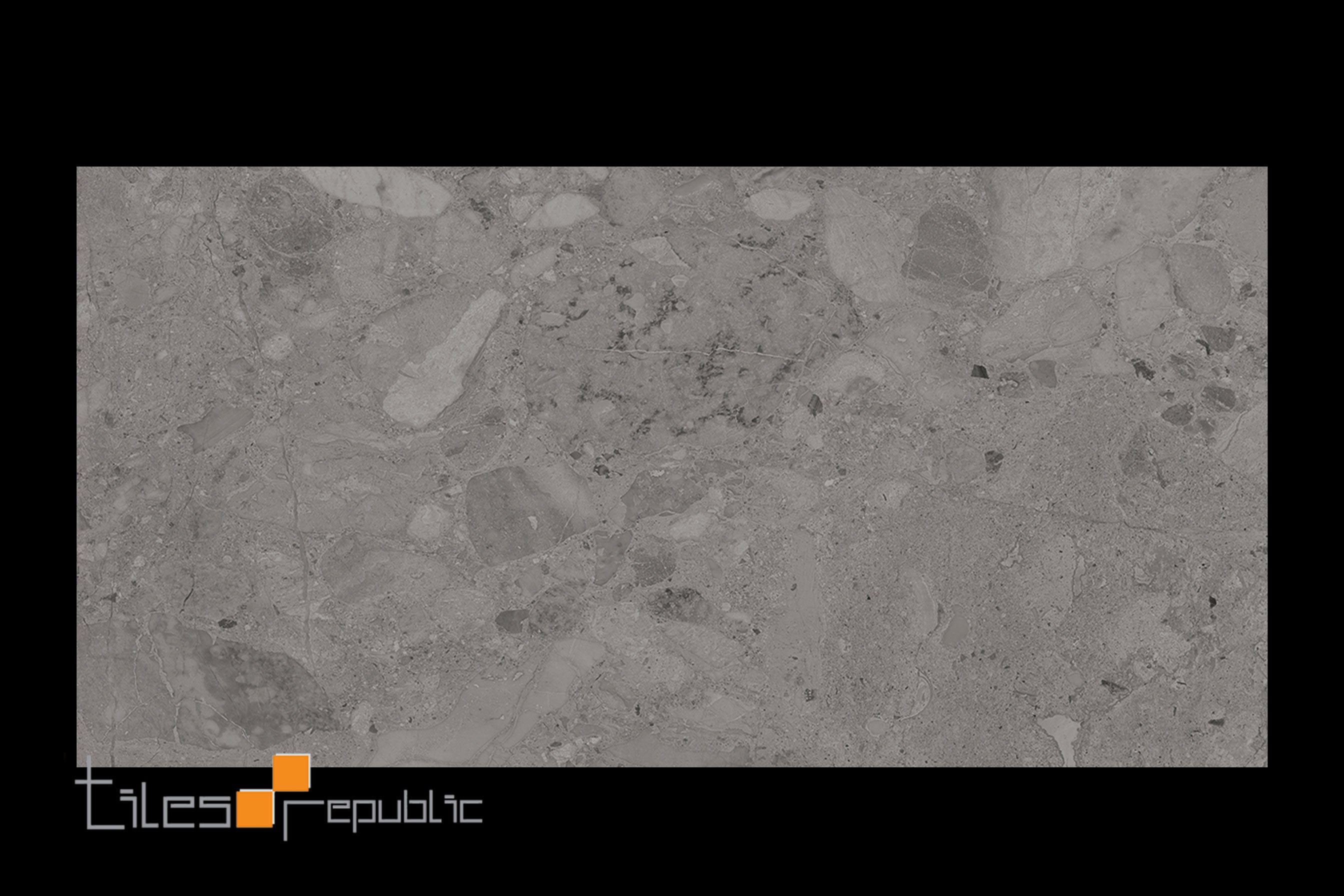 Venice Silver Polished 300x600