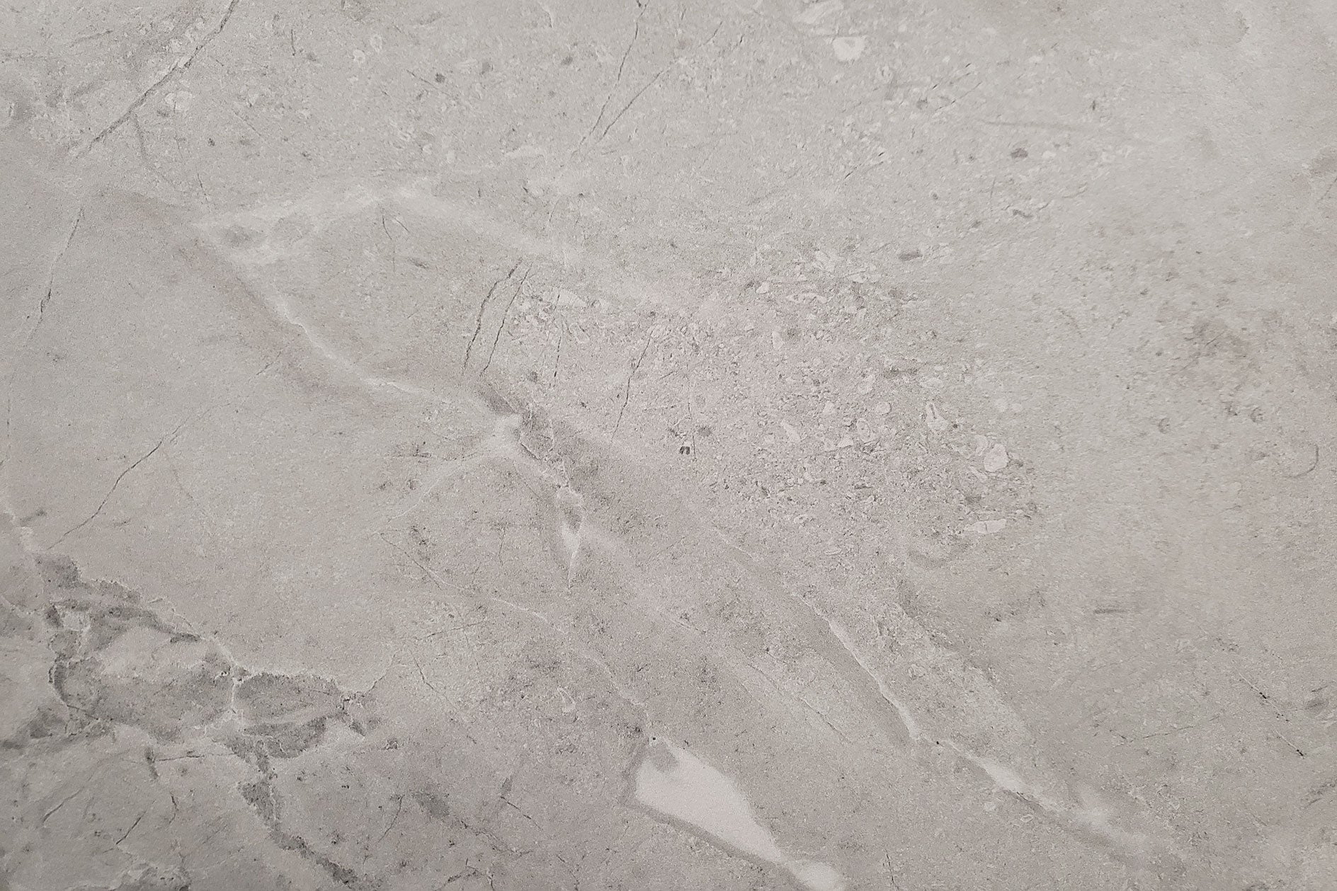 Limestone Ash 600x600 Matt