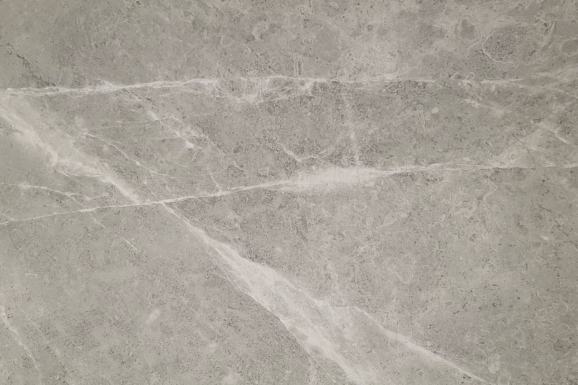 Q-Stone Taupe Polished 600x1200