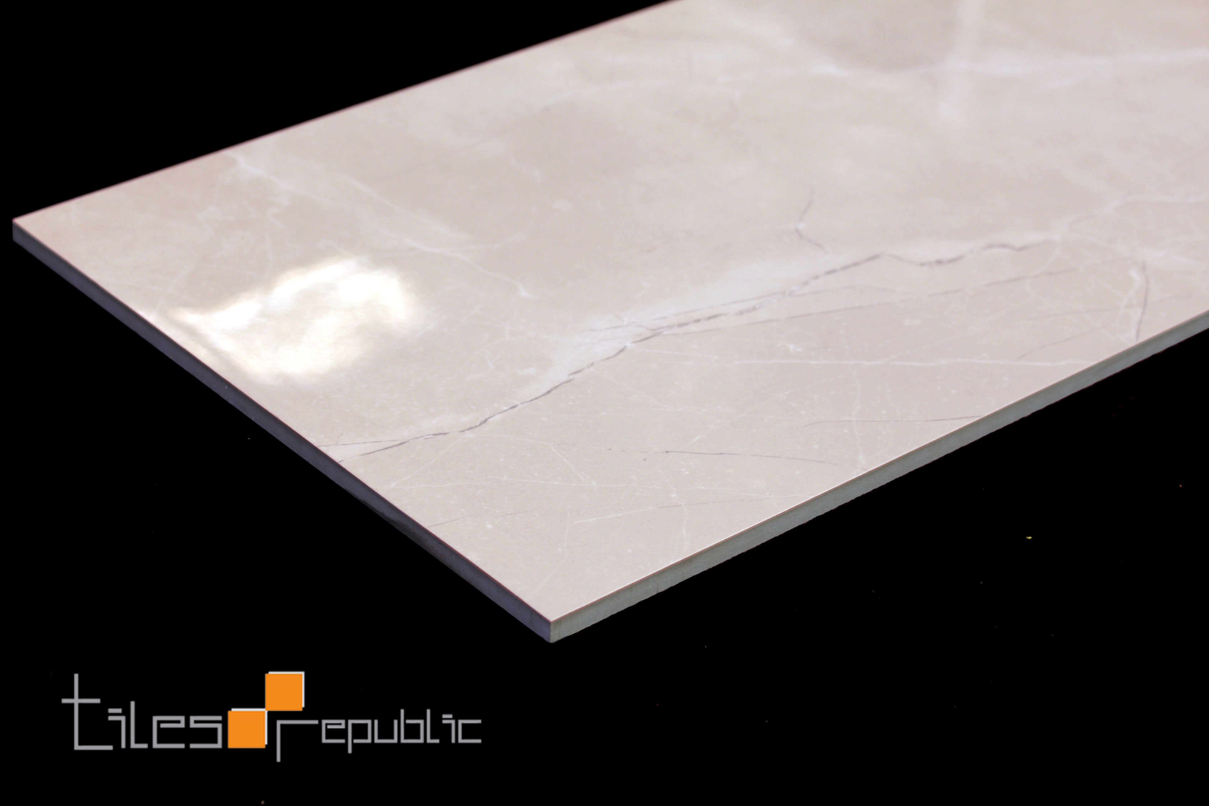 Fossil Bone Polished 300x600