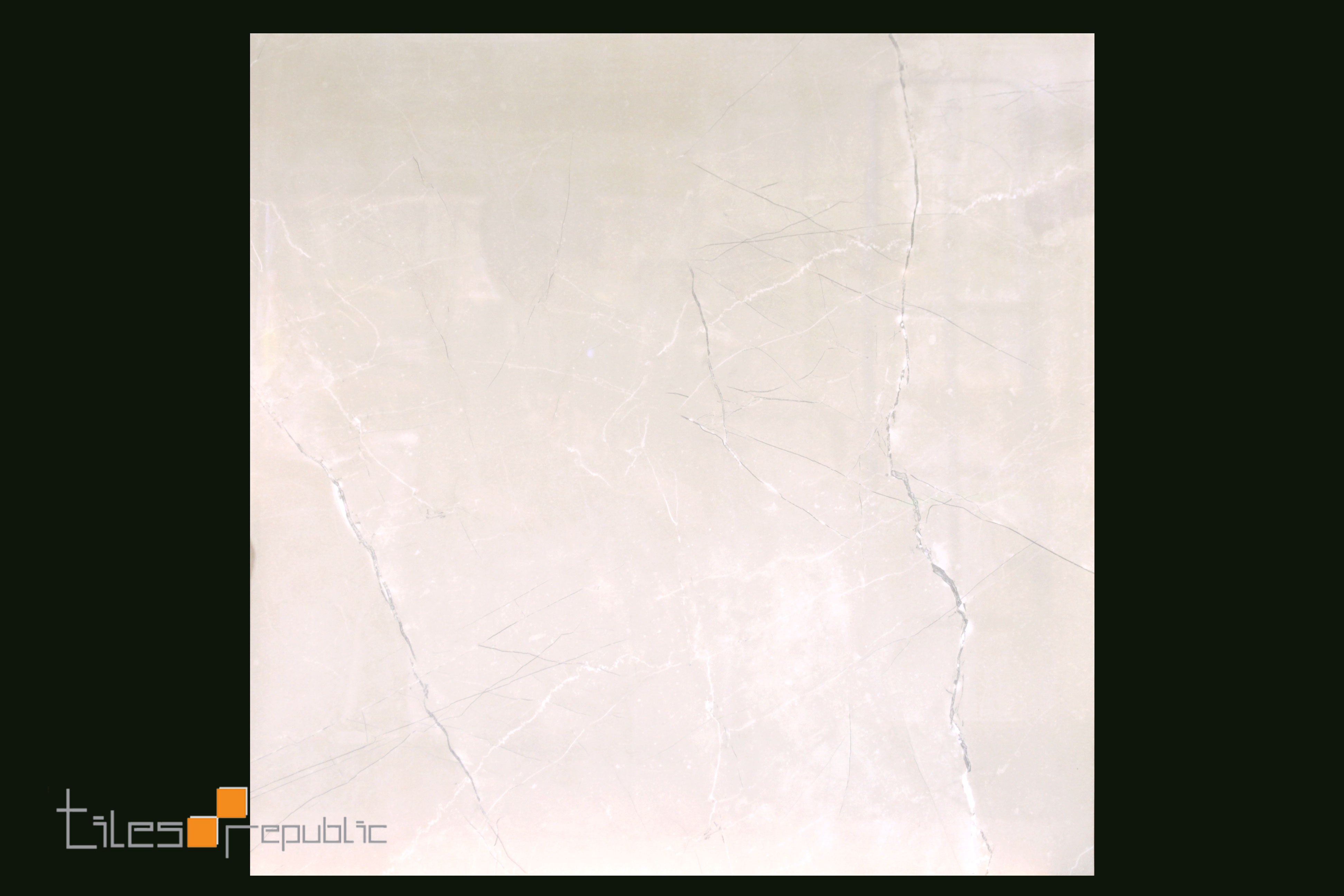 Fossil Bone Polished 600x600