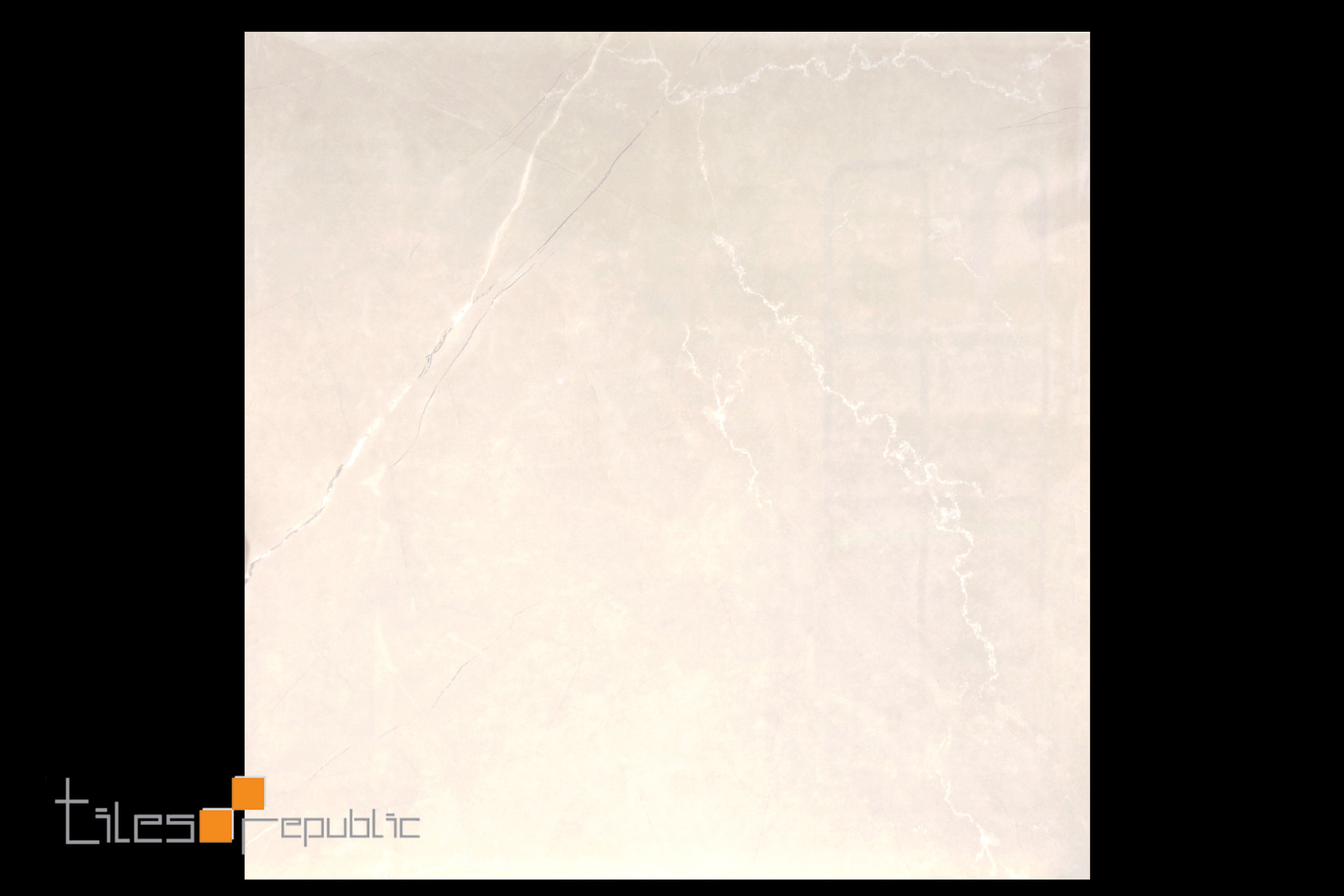 Fossil Bone Polished 600x600