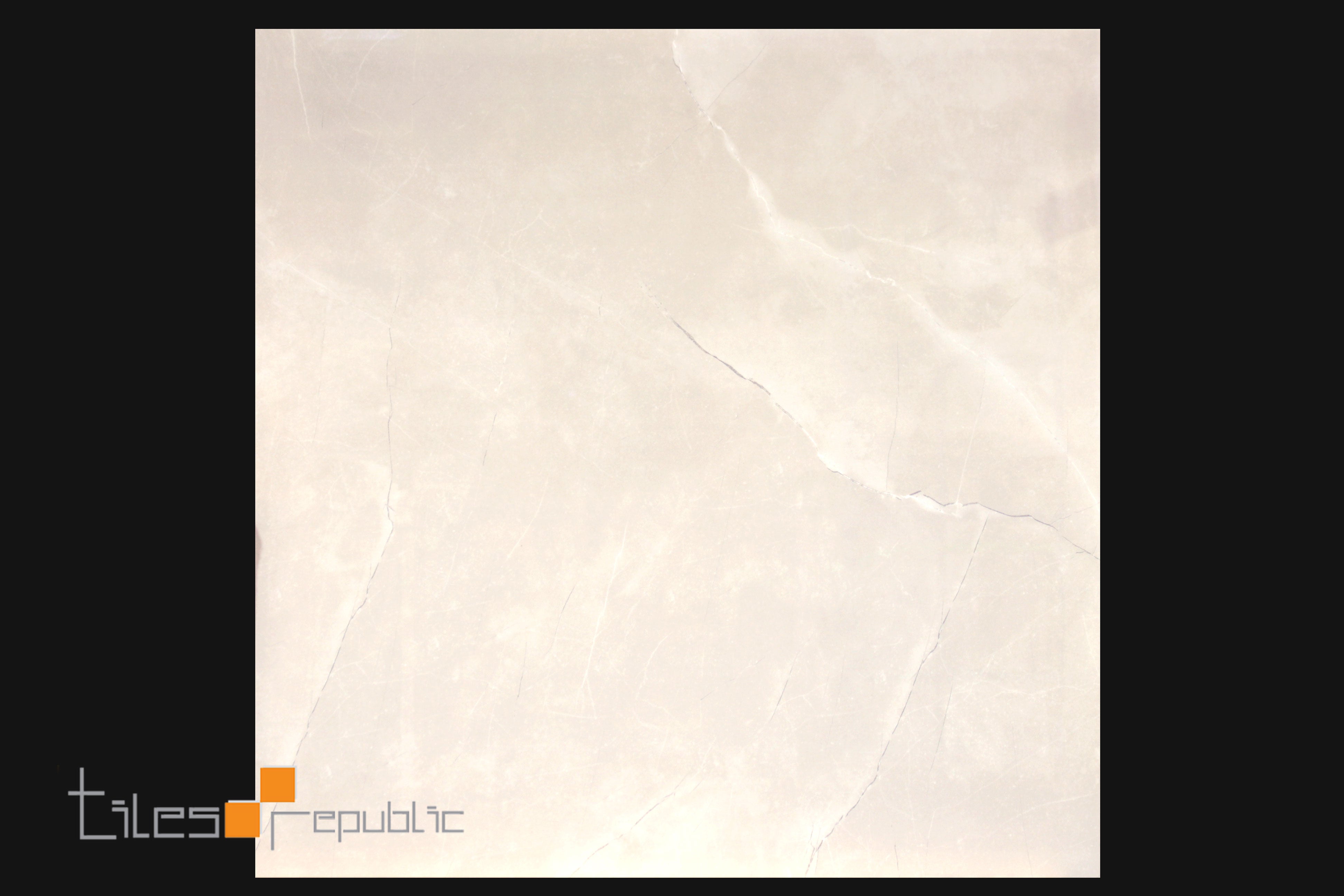 Fossil Bone Polished 600x600