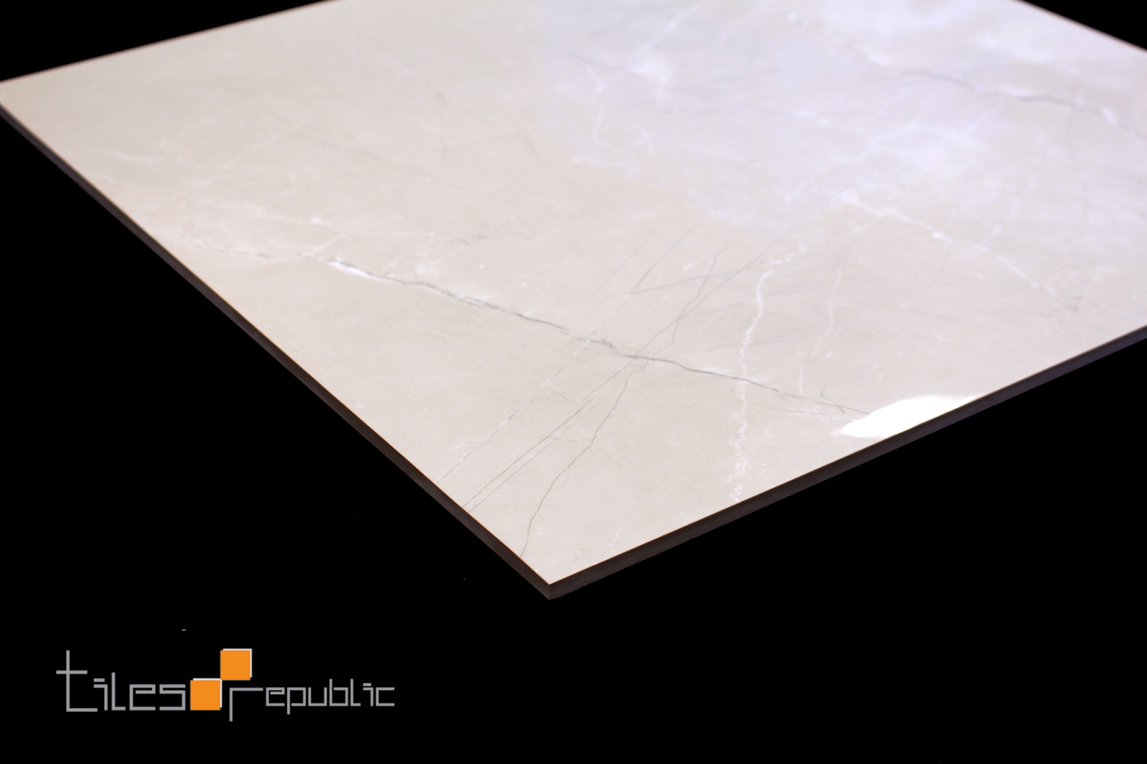 Fossil Bone Polished 600x600