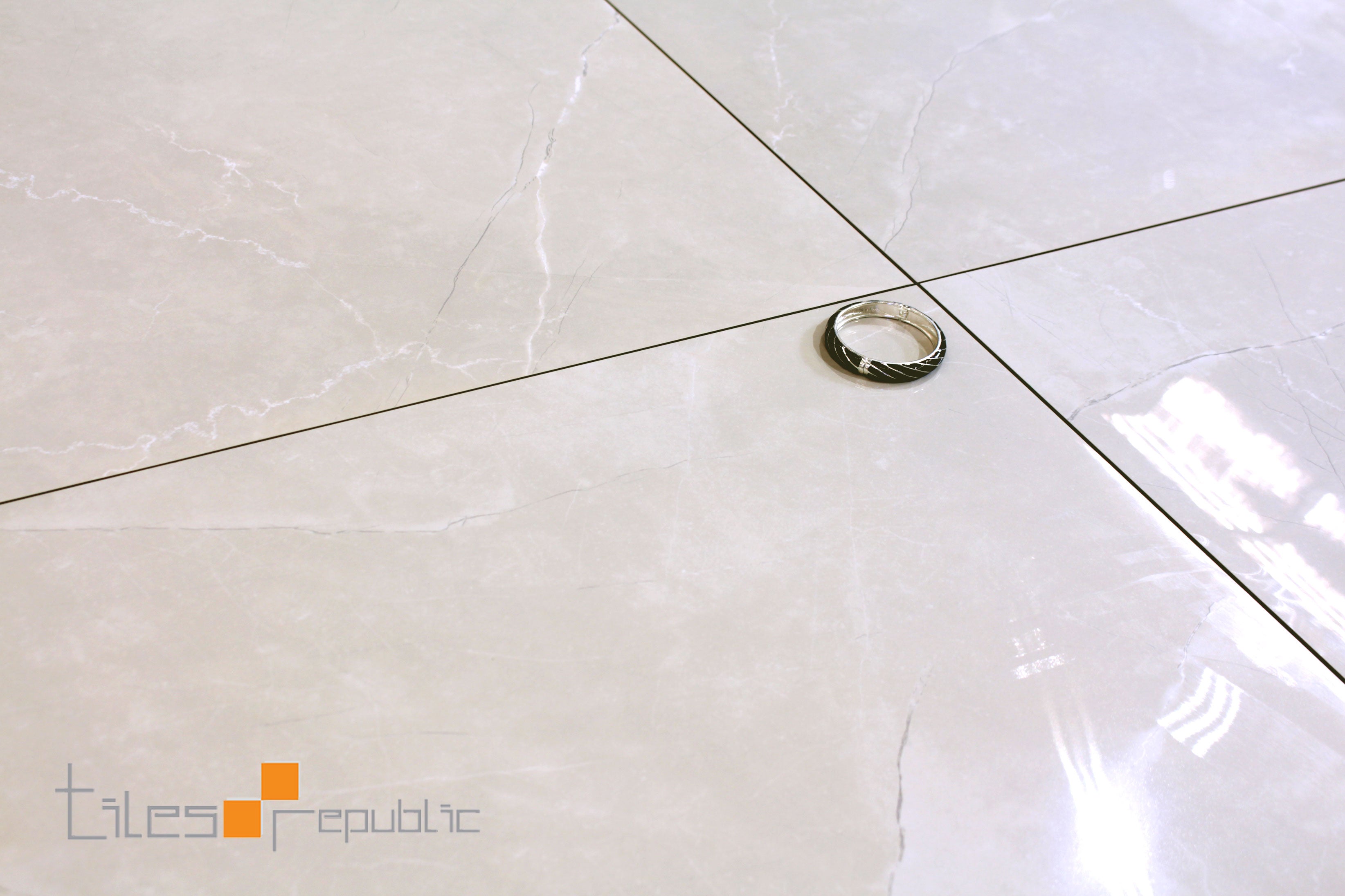Fossil Bone Polished 600x600