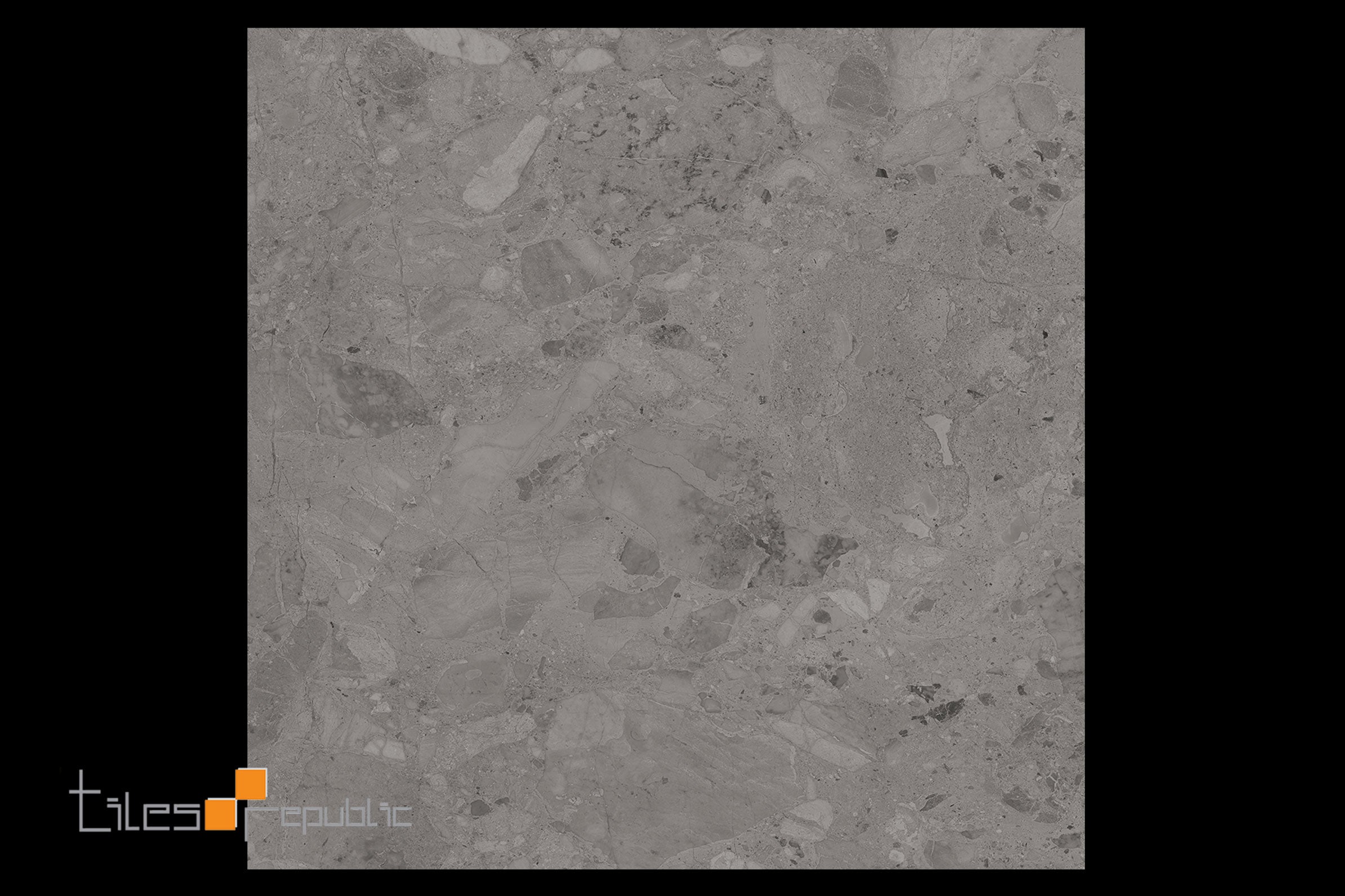 Venice Silver Polished 600x600