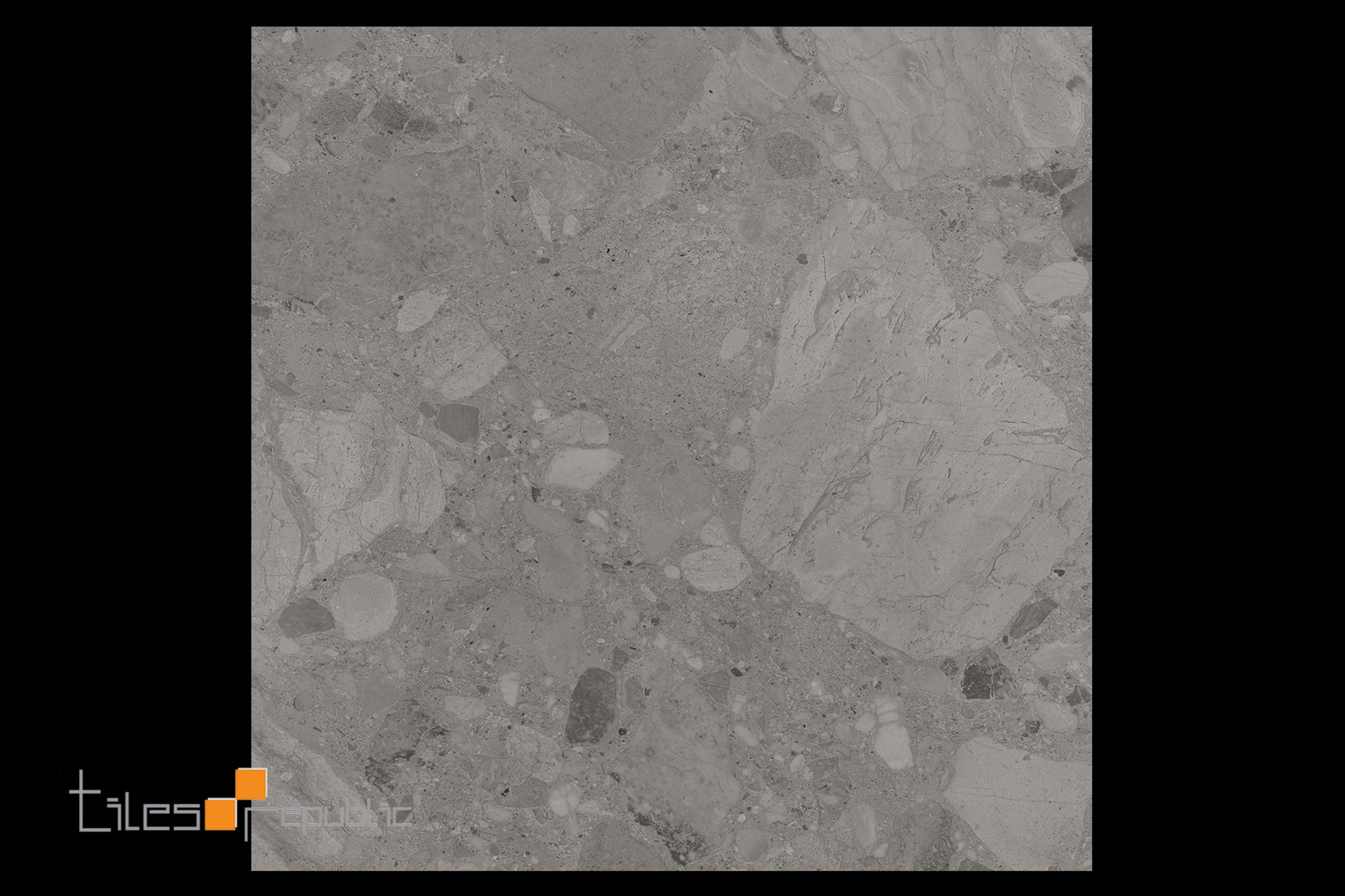 Venice Silver Polished 600x600